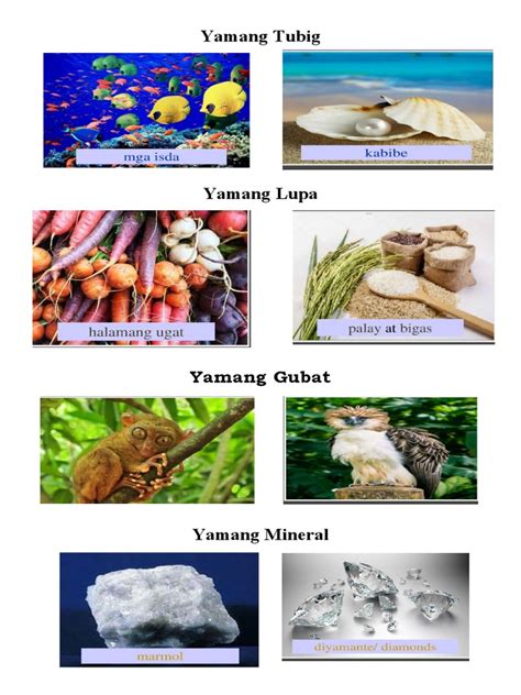 10 halimbawa ng yamang tubig|Mga Yamang Lupa at Mga Yamang Tubig .